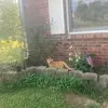 zaneterrell381 - @zaneterrell381 - TikTok