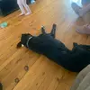 Zane Thompson - @zane.thompson07 - TikTok