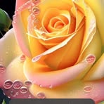 Zane Torres - Facebook