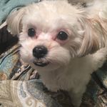 Tracy Zane-Butler - @tzanebutler - Instagram