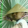 zane_tran2000 - @zane_tran2000 - TikTok
