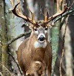 Zane Tucker - Facebook