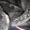 zanetucker76 - @julianne030421 - TikTok