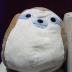alexander zane vance - @catdude5 - Instagram