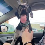 Zane Vaughn - @zanevaughn75 - Instagram