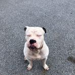 Zane Walsh - Facebook