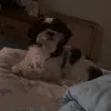 Zane - @zane.walters11 - TikTok
