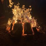 Zane Walters - Facebook