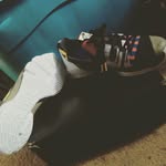 zanewalton - @zanewalton - Instagram