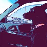 Zane Ward - @zwardzwwgw - Instagram