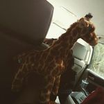 Zane Ward - @zaneda_ll - Instagram
