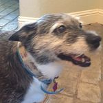Zane Webb - @webb_zane - Instagram