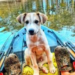 Zane webb - @zanewebb764 - Instagram