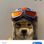 Zane - @zane_webb_ - Instagram