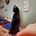 Zane Webster - Facebook