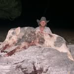 Piggin paradise - @zane_white15 - Instagram