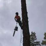 Zane Whiteside - @treemanezane - Instagram