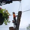 Zane Whiteside - @whitesidewoodworks - TikTok