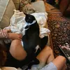 Zane - @zane.wise26 - TikTok