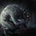 Zane Wolf - Facebook