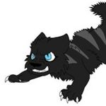 zane_wolf_gamer - @zane_wolf_gamer - Instagram