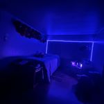 zane woods - @zanewoods7 - Instagram