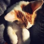 Zane Wu - @kui_wjh - Instagram