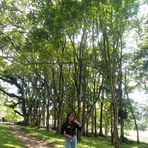 Zane Yang - Facebook
