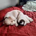 Zane Yoder - @zane.yoder - Instagram
