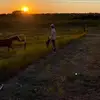 Zane York - @zane_york - TikTok