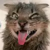 ZaneYork - @orangstreswkwk - TikTok