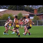 Zane Young - @zaney277 - Instagram