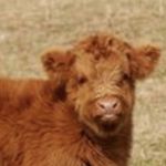 Zane Young - @zane_young_ - Instagram