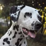 Zanetta Smith - @callie__2008 - Instagram