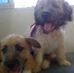 Roberson Zuñiga - Facebook