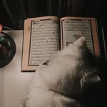 🎭 - @zarlin_68 - Instagram