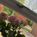 Zara Baker - @zarabaker50 - Instagram