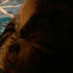 Zara baker - @zarajean2006 - Instagram