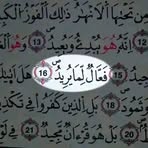 Zara Bashir - Facebook