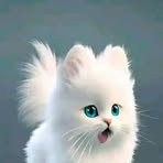 Zara Bashir - Facebook