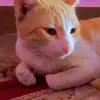 Zara_bashir - @zara_bashir1 - TikTok