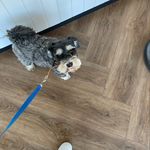 Zara - @zarabecker81 - Instagram