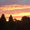 Zara bell - @zara.bell_ - TikTok
