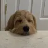 I like burritos - @zara.berg - TikTok