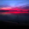 sapphire7792 - @zaracarr19 - TikTok