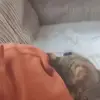 Zara Carra - @zaracarra67 - TikTok