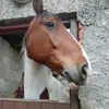 Zara Carruthers - @zara.carruthers - TikTok