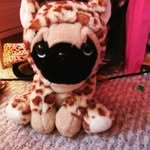 zara collier - @zara_collier79 - Instagram
