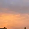 Zara - @zarafreeman5 - TikTok