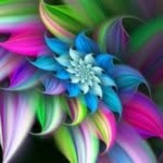 ZARA FULLER - @aussiewhitte - Instagram